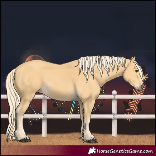 Horse Color:Unknown 