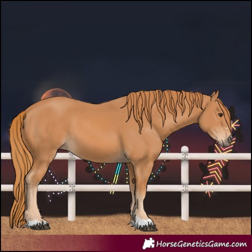 Horse Color:Unknown 
