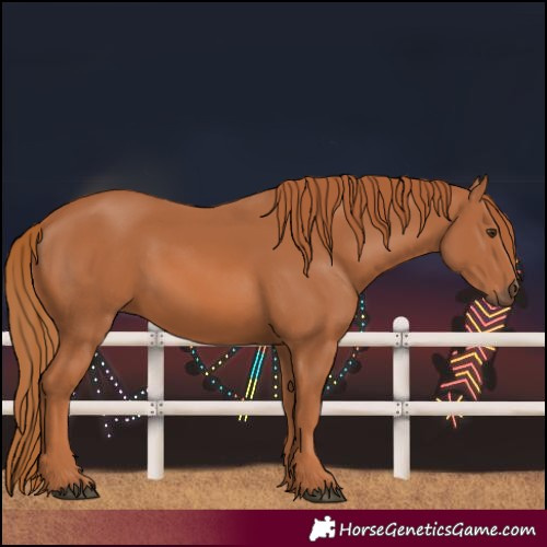 Horse Color:Unknown 
