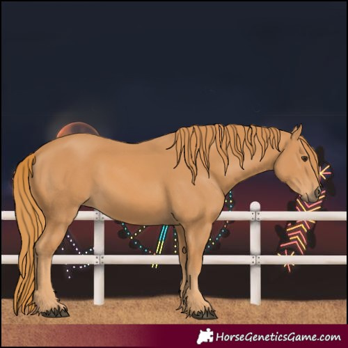 Horse Color:Unknown 