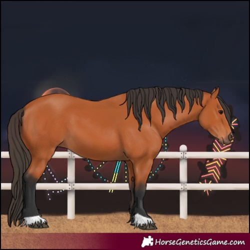 Horse Color:Unknown
