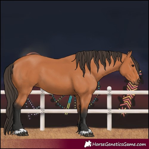 Horse Color:Unknown