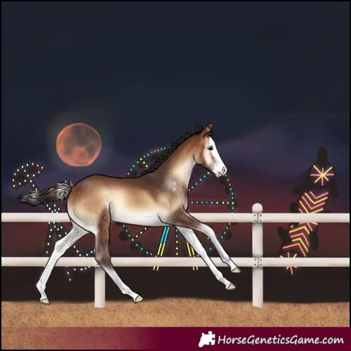 Horse Color:Bay Onyx Splash Rabicano 