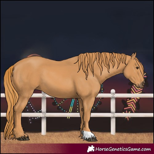 Horse Color:Unknown 