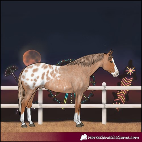 Horse Color:Red Roan Splash Blanket