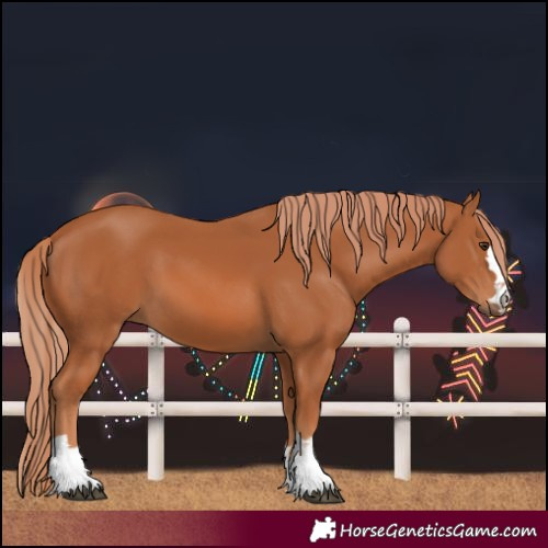 Horse Color:Unknown 