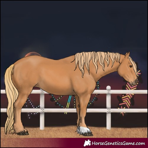 Horse Color:Unknown 