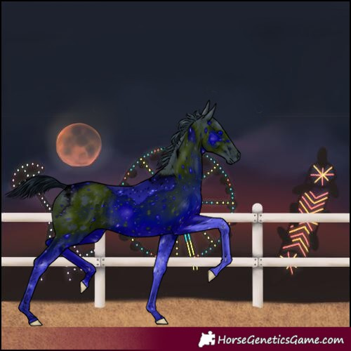 Horse Color:ERROR: UNKNOWN ANOMALY