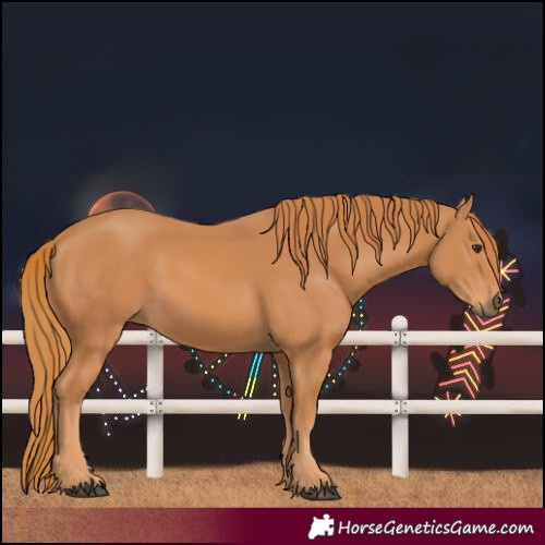 Horse Color:Unknown 