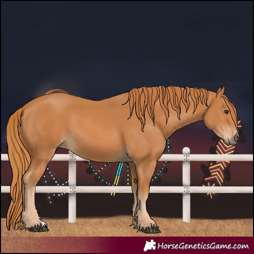Horse Color:Unknown 