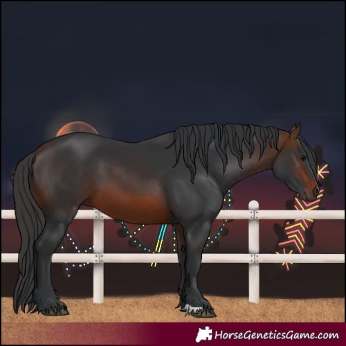 Horse Color:Unknown 
