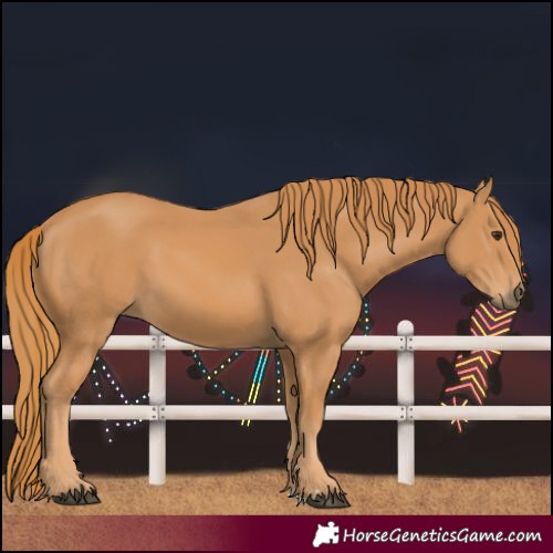 Horse Color:Unknown 