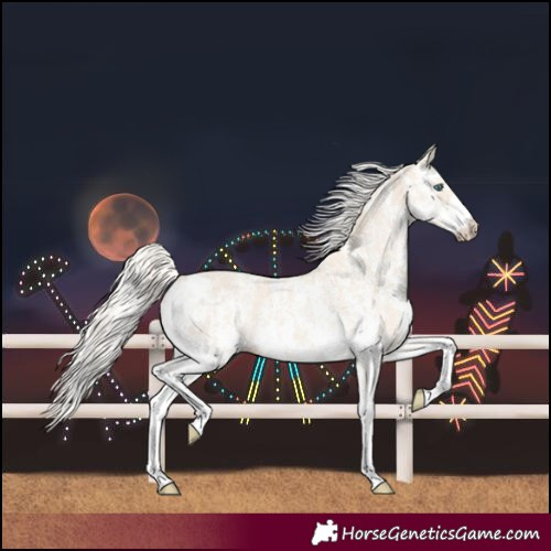 Horse Color:Cremello Sabino and Cremello Sabino