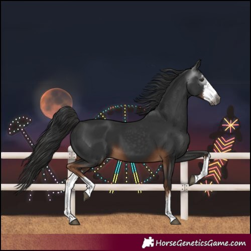 Horse Color:Gray White Spotted Liver Chestnut