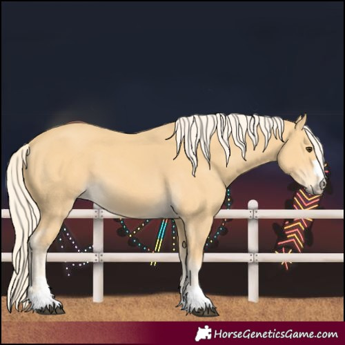 Horse Color:Unknown 
