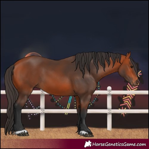 Horse Color:Unknown 