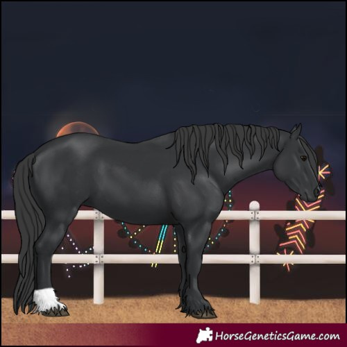 Horse Color:Unknown 