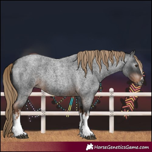 Horse Color:Unknown 