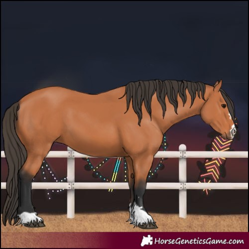 Horse Color:Unknown 
