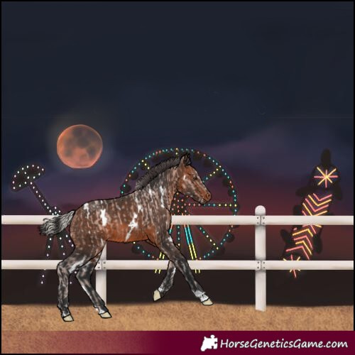Horse Color:White Spotted Silver Brown and White Spotted Brown
