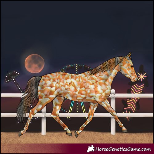 Horse Color:White Spotted Blue Roan Rabicano  and White Spotted Blue Roan Rabicano 
