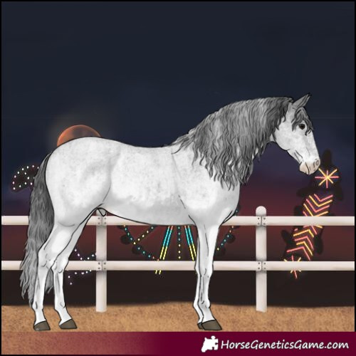 Horse Color:White Spotted Blue Roan Rabicano and White Spotted Blue Roan Rabicano
