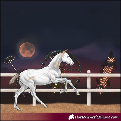 Horse Color:Sable Champagne Pearl Splash Tobiano 
