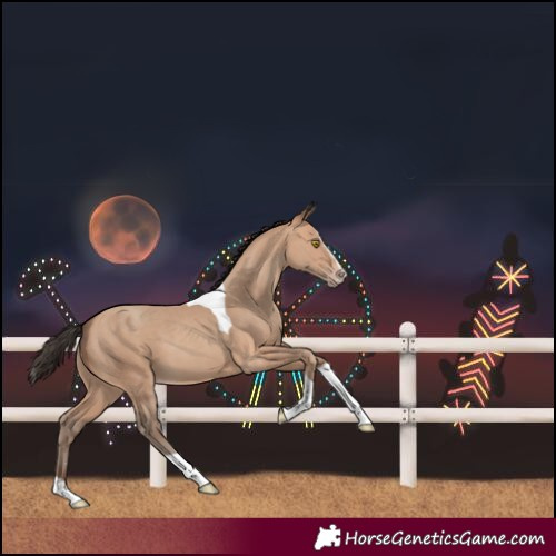 Horse Color:Amber Champagne Splash Tobiano 