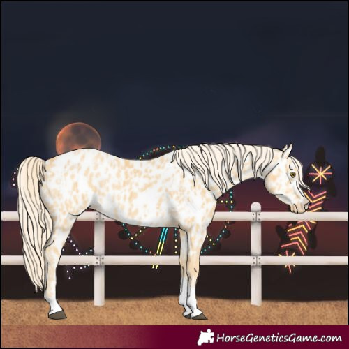 Horse Color:Palomino Near Leopard  and Palomino Dun Near Leopard 