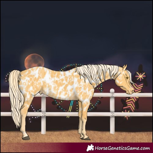 Horse Color:Palomino Near Leopard  and Palomino Near Leopard 