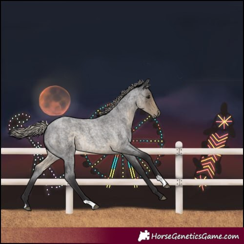 Horse Color:Silver Smoky Blue Roan