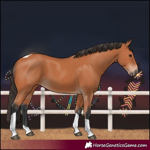 Horse Color:Bay Tobiano 