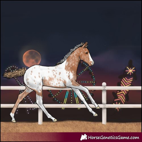 Horse Color:Chestnut Ice Tobiano Blanket 