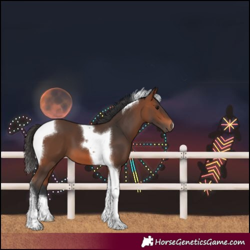 Horse Color:Bay Tobiano