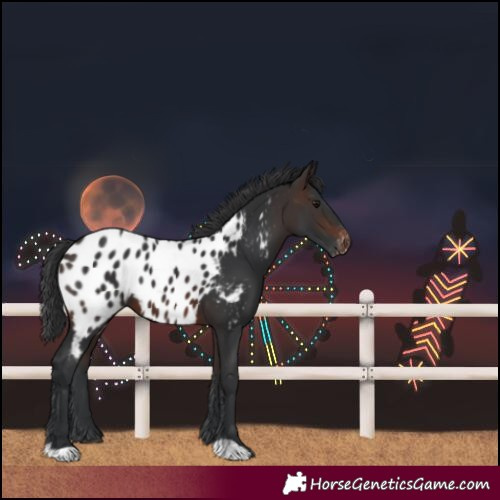 Horse Color:Brown Blanket 