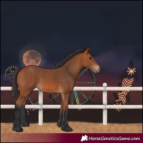 Horse Color:Bay 