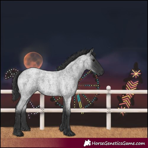 Horse Color:Blue Roan