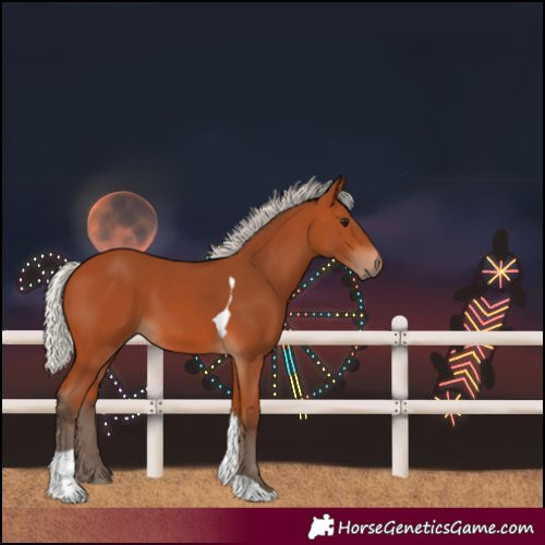 Horse Color:Silver Bay Tobiano