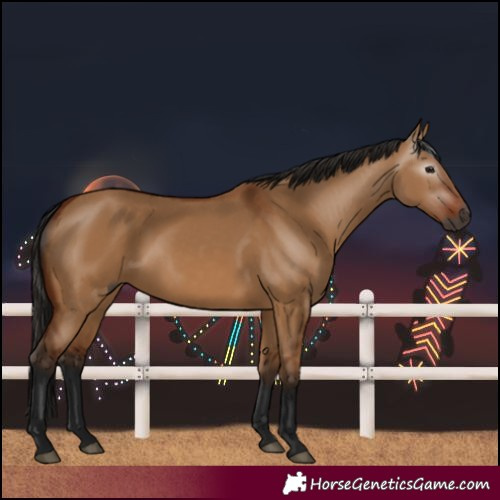 Horse Color:Gray Bay Dun