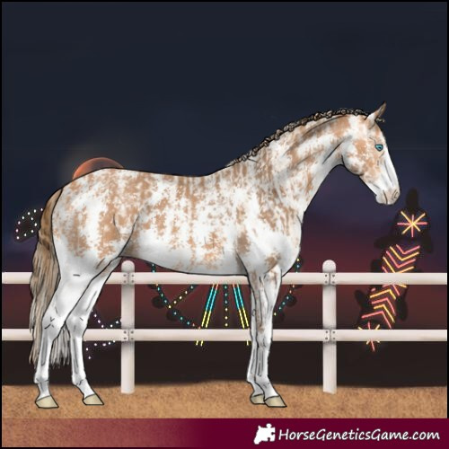 Horse Color:Perlino Sabino  and Gray Perlino Sabino 