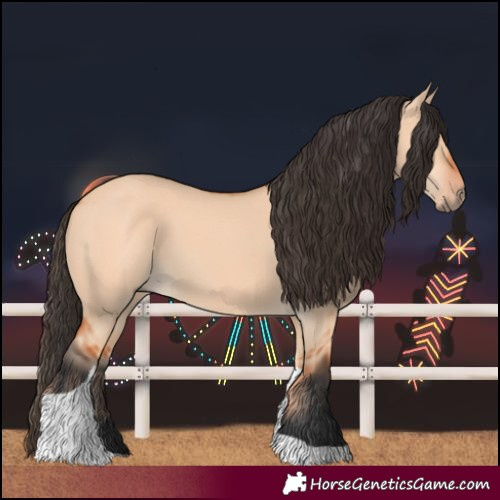 Horse Color:Bay Dun Tobiano 