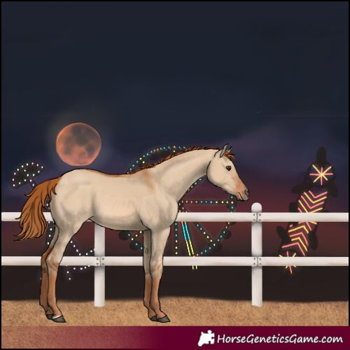 Horse Color:Red Dun 