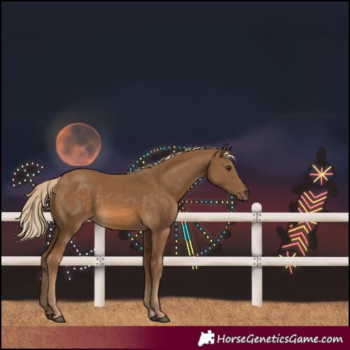 Horse Color:Chocolate Palomino 
