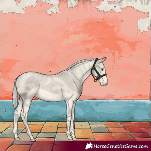 Horse Color:Cremello Dun