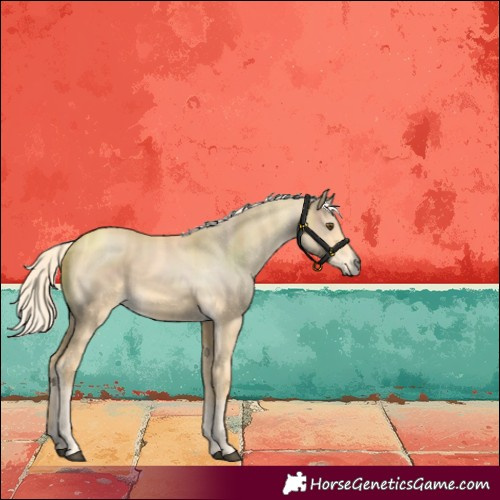 Horse Color:Palomino Dun 