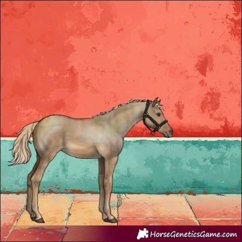 Horse Color:Chocolate Palomino Dun