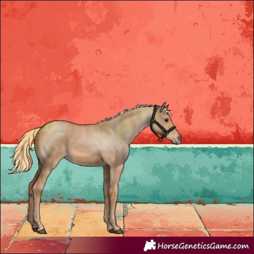 Horse Color:Red Dun