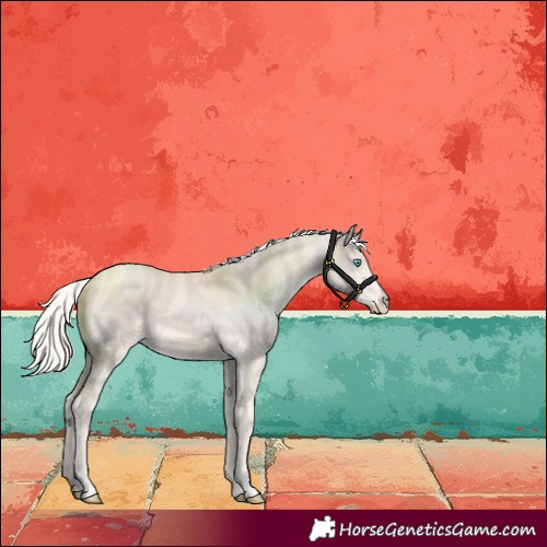 Horse Color:Cremello Dun