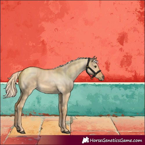 Horse Color:Palomino Dun 