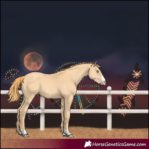 Horse Color:Unknown 